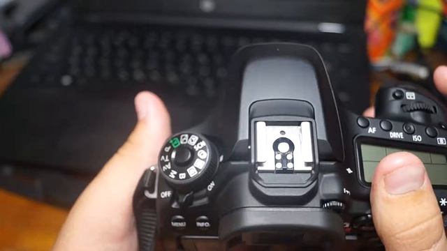 Обзор фотокамеры Canon eos 80D смотреть онлайн