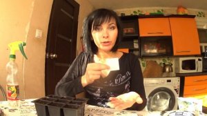 АЛИССУМ выращивание из семян.Посев в феврале