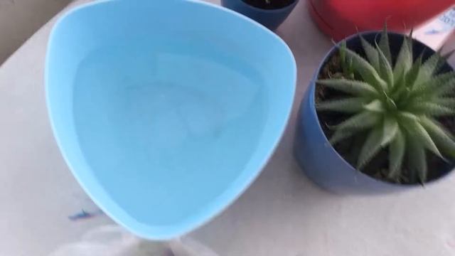 TIE-DYE NASIL YAPILIR?-Kumaş boyası kullanımı-Batik desen