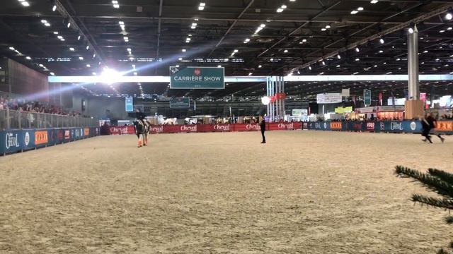 Vlog Salon du cheval de Paris 2019 