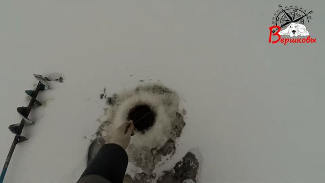 Окунь на балансир. Сколько же его тут???