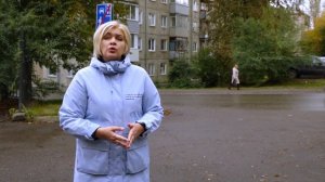 UTAIR РАЗРЕШИЛ ПЕРЕВОЗИТЬ КОШЕК И СОБАК НА ПАССАЖИРСКИХ КРЕСЛАХ