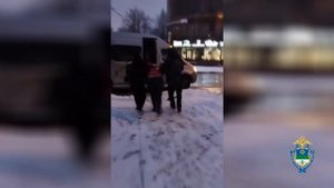 Полицией Коми задержан мужчина, который помог въехать в страну 4 мигрантам под видом учёбы в вузе