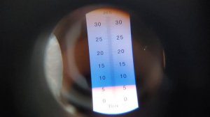 Проверка на брикс, сорта Флорида бьюти и Сольхянг, на 30.03.2021г