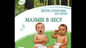 Звуки природы для детей  Малыш в лесу