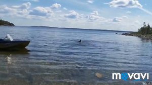 Пежостров/Отдых и рыбалка/Белое море/Карелия