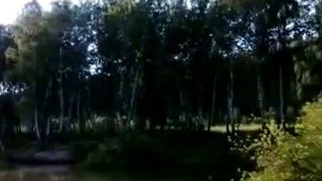 Прогулка ранним утром.Новосибирск смотреть онлайн