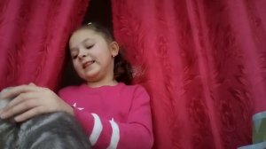 Как уговорить родителей купить котёнка