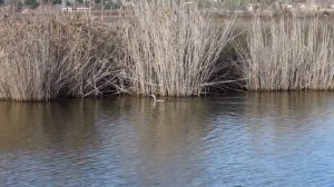 ТОП-10 мест Турции на Эгейском побережье ?? ОТДЫХ в Турции 2022