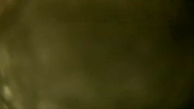 Creedence in Abay. 3.03.2021 смотреть онлайн