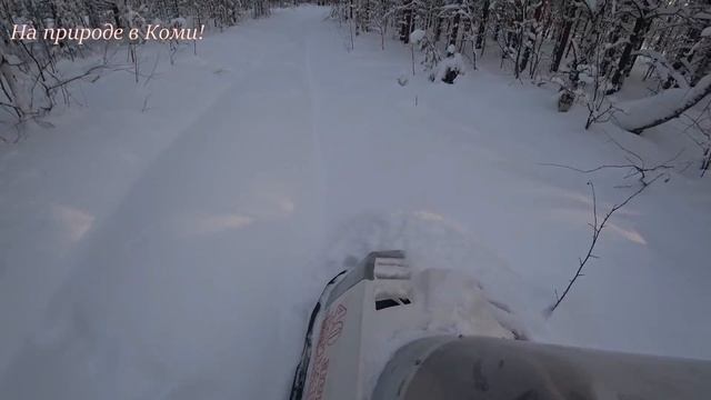 В тайгу на целый день. Охота. Чаёк на природе. Собаки умирают от усталости. 3 серия. смотреть онлайн
