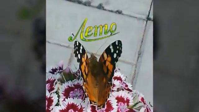 Пропал подписчик ГДЕ ТЫ ? смотреть онлайн