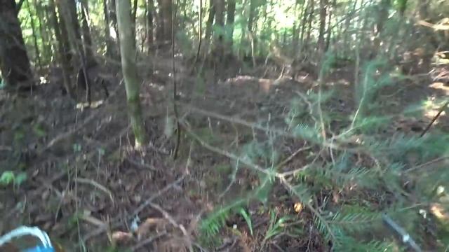 По грибы 5 августа 2018г_1 часть. смотреть онлайн