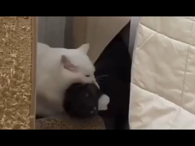 Всё не так просто как кажется смотреть онлайн