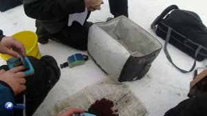 Чемпионат мира по ловле рыбы на мормышку со льда в Финляндии 2020