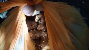 Топинамбур жареный.