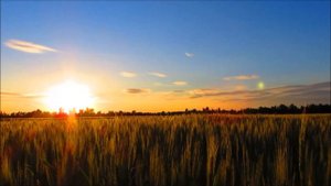 Мы любим. Значит всё... возможно!/ Стих про любовь на расстоянии/ #стихиолюбви