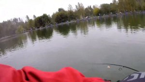 ФишПарк, 10.09.2023 активная форель 🎣 вторая просто торпеда - только с третьего раза взял #fishing