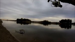 Чехонь с берега на спиннинг. Сентябрь 2018 года.