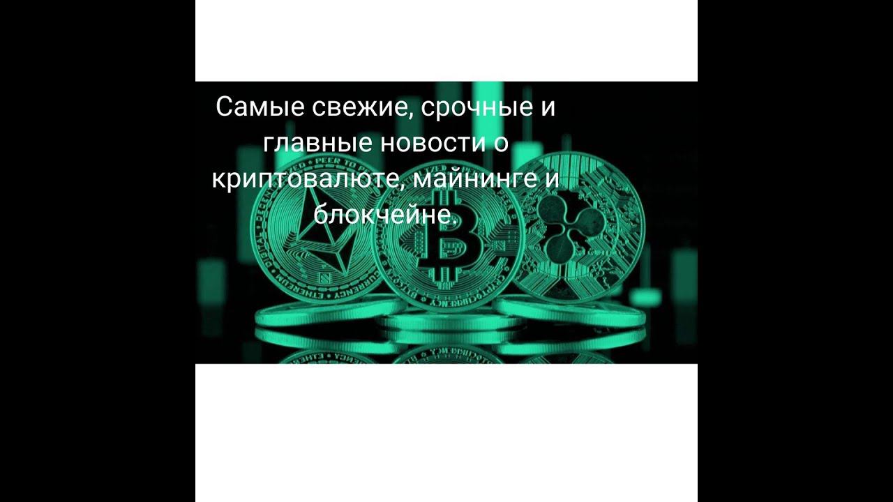 Биткоин не защитит от краха/Стратегический резерв в ВТС?/Демократы о крипте.