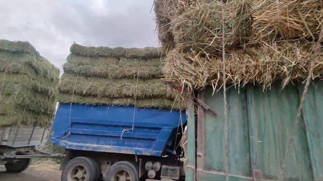 ЧОП БАЗАР. БЕДЕ ТОО ЧОП САМАН БААЛАРЫ смотреть онлайн