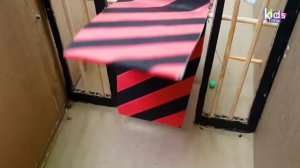 Лабиринт КРОКОДИЛОВ! ПОЛОСА ПРЕПЯТСТВИЙ  хомячков с ловушками!