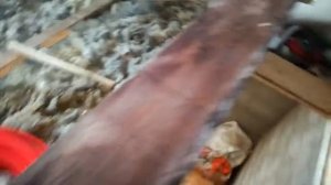 Дверь на мансардный этаж с противовесом