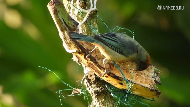Он вами дорожит: 3 способа, как это понять смотреть онлайн