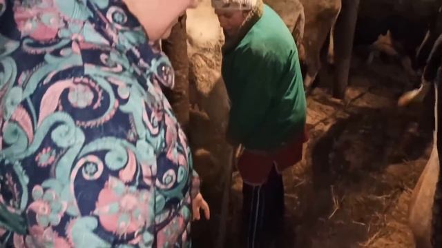 В ГОСТЯХ У КРУТОЙ ФЕРМЕРШИ! ОБЗОР БОЛЬШОГО ХОЗЯЙСТВА//БИЗНЕС НА КОРОВАХ// УЛЬТРАВЕТ смотреть онлайн