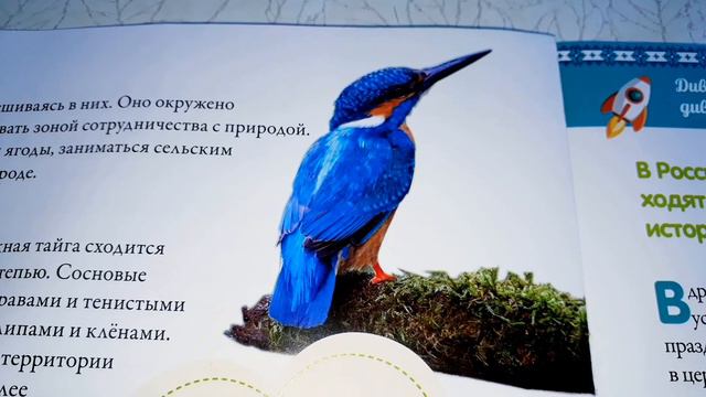 Моя страна Собери Карту России от Hachette Выпуск № 100/ Коллекция завершена/ Map of Russia