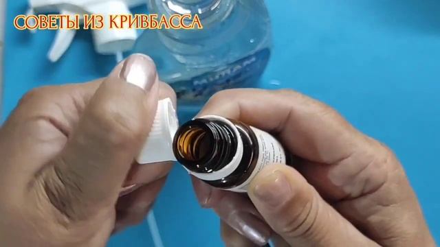 Как избавиться от блох в доме или квартире.