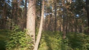 235 летию п   Арти посвящается      «Славный поселок Арти »