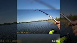 рыбалка, Карпфишинг, брежнево курск.