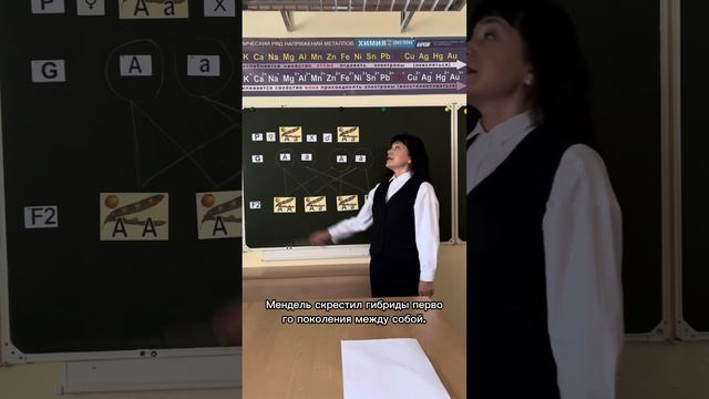 Закономерности наследования признаков при моногибридном скрещивании смотреть онлайн