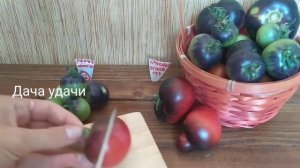 Редкие сорта томатов/КРАСНЫЙ УГОЛЬ и ГОЛУБОЕ ЗОЛОТО/есть ли разница? Дача удачи