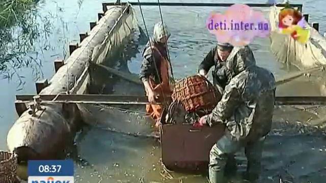 Социальные выплаты повысили