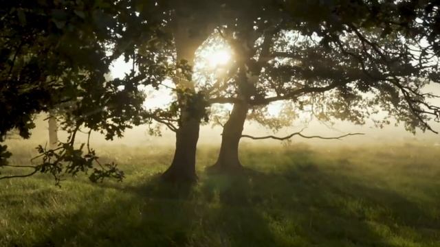 Будь мудрой, вылезай из моря суеты на берег молитвы, покаяния и Господь оградит тебя от всякого зла смотреть онлайн