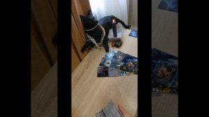 Есть ли у него общение с другими девушками ??#таро #гадание #отношения#советкарт #любовь#мыслиего