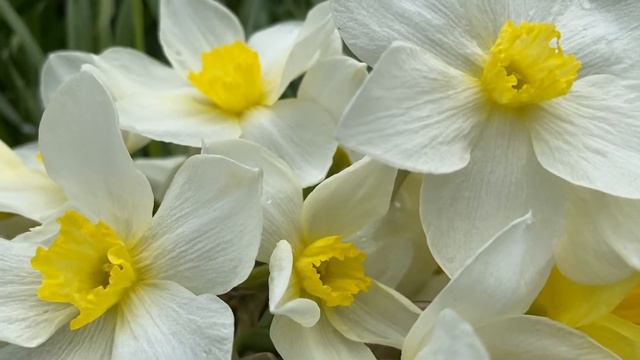 Снег в мае / 24 мая выпал снег / +3 днём смотреть онлайн