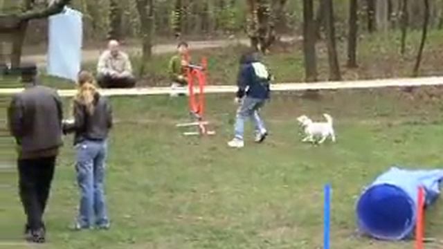 Овсиенко Виктория, метис Овсянка.AVI смотреть онлайн