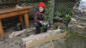 Мои саженцы из Клуба садоводов-профессионалов