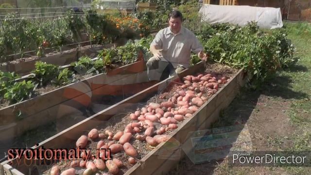 Вы точно будете знать, что и сколько сажать в огороде смотреть онлайн