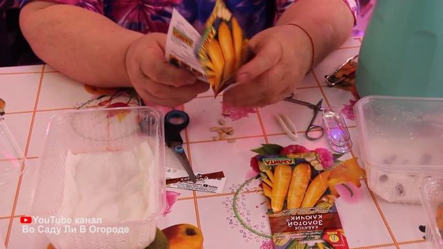 Кабачки завалят вас урожаем, если сделаете это перед посадкой.