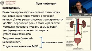 Осложненные инфекции мочевыводящих путей (врач-уролог, к.м.н. Горгоцкий И.А.)