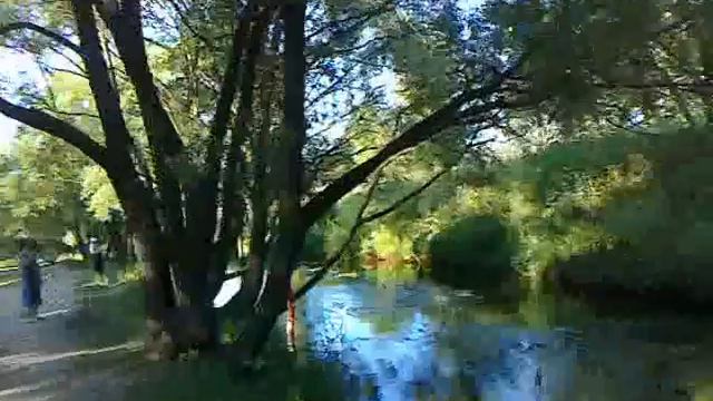 05.07.2010 Прогулка после работы возле Яузы где ул. Северодвинская смотреть онлайн