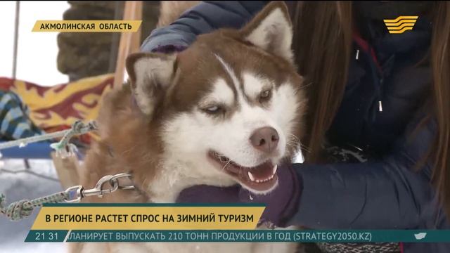 В Акмолинской области растет спрос на зимний туризм смотреть онлайн