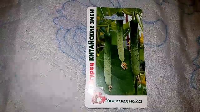 Огурец Китайские змеи, ознакомление с семенами смотреть онлайн