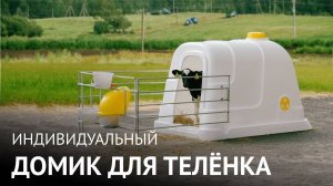 Домики для содержания телят