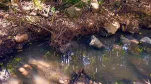 ДОБЫВАЮ ЗОЛОТО ШЛЮЗОМ - ЧАСТЬ 1⛏? //? ТЕСТ НОВОГО ШЛЮЗА ✅ // ДОБЫЧА ЗОЛОТА В АВСТРАЛИИ