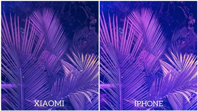 Xiaomi 13 Pro vs iPhone 14 Pro Max Night Mode Camera test смотреть онлайн